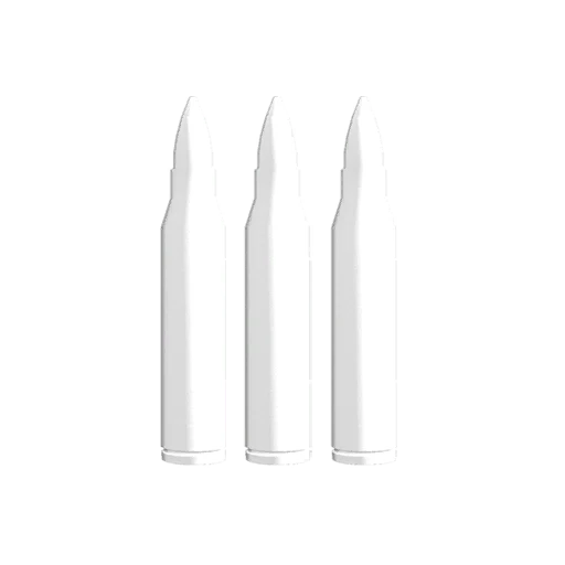 Ammo: 1